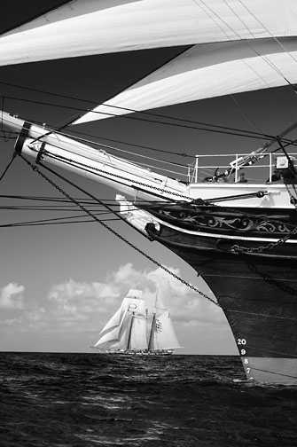 Michael Berman Black and White Marine Photography