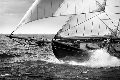 Michael Berman Black and White Marine Photography