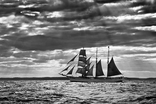 Michael Berman Black and White Marine Photography