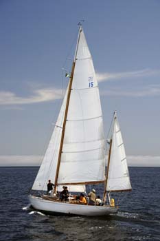 CMR_2007_019