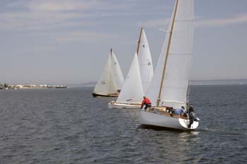 CMR_2007_029