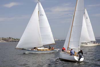 CMR_2007_033