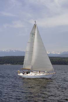 CMR_2007_041