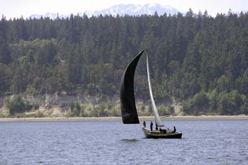 CMR_2007_049