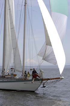 CMR_2007_066