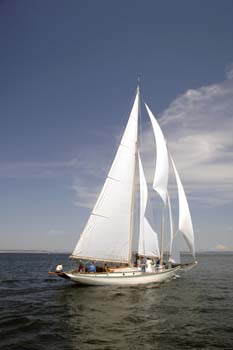 CMR_2007_083