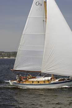 CMR_2007_113