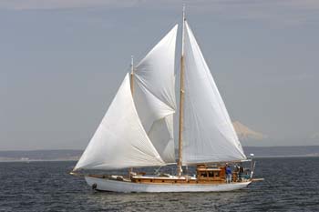 CMR_2007_163