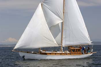 CMR_2007_167