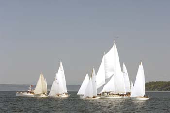 CMR_2007_172