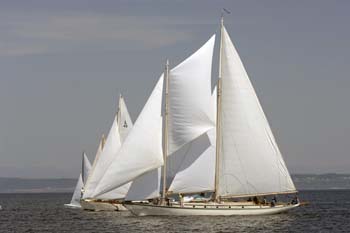 CMR_2007_179
