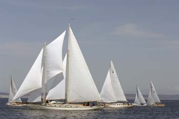 CMR_2007_183