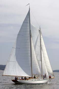 CMR_2007_215