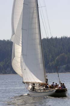CMR_2007_221