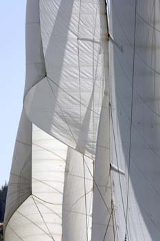 CMR_2007_227