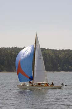 CMR_2007_233