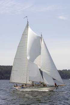 CMR_2007_234