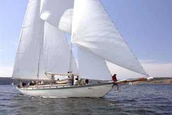 CMR_2007_235