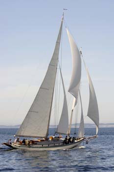 CMR_2007_254