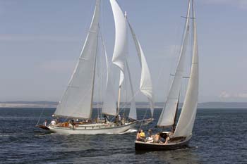 CMR_2007_257