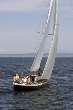 CMR_2007_262