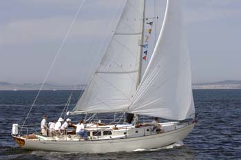 CMR_2007_264