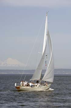 CMR_2007_266