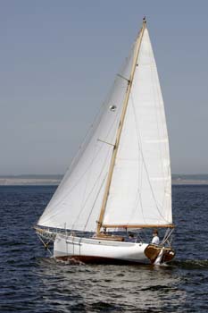 CMR_2007_290