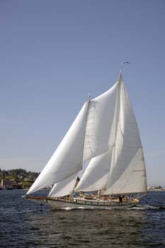 CMR_2007_298