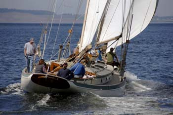CMR_2007_305