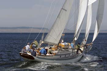CMR_2007_307
