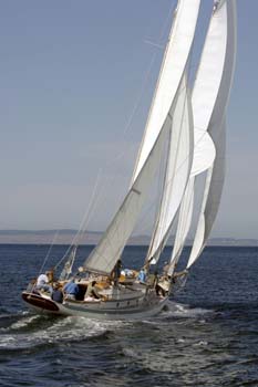 CMR_2007_308