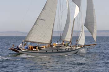 CMR_2007_316