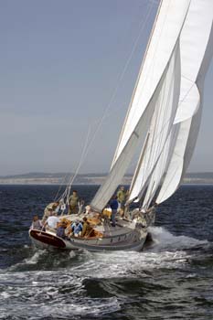 CMR_2007_323