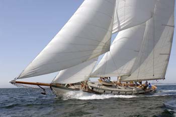 CMR_2007_328