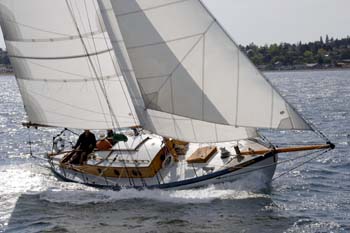 CMR_2007_342