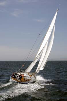 CMR_2007_344