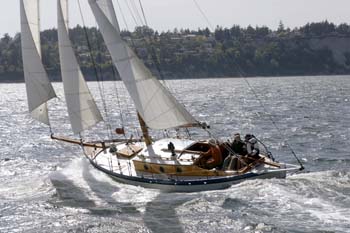 CMR_2007_348