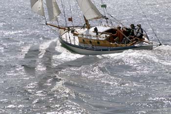 CMR_2007_355