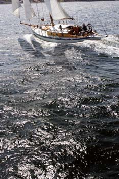 CMR_2007_356