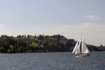 CMR_2007_357