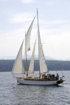 CMR_2007_358