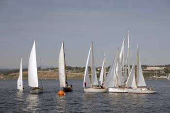 CMR_2007_363