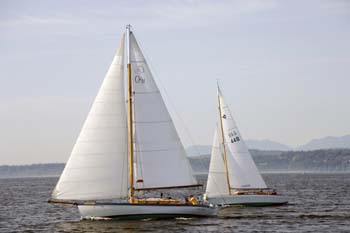 CMR_2007_376