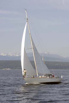 CMR_2007_379