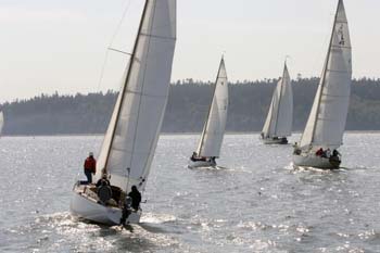 CMR_2007_383