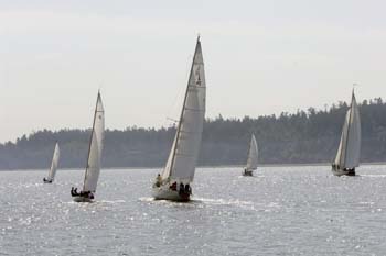 CMR_2007_385