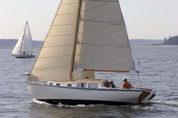 CMR_2007_388
