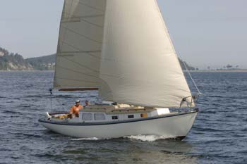 CMR_2007_393