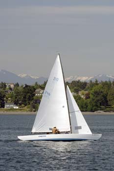 CMR_2007_439